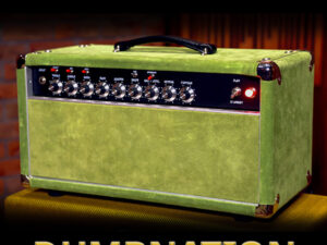 DumbNation - CGT profiles for ToneX